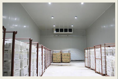 Rau chống ăn mòn Kho lạnh Phòng lạnh Phạm vi nhiệt độ rộng Tùy chọn