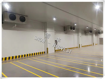 Công suất lớn Hậu cần Kho lạnh Tiết kiệm năng lượng Nhiệt độ chính xác