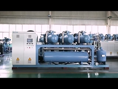 Cơ chế áp suất không khí vít kết hợp hiệu suất cao Bán hàng tùy chỉnh cho các đơn vị đông lạnh